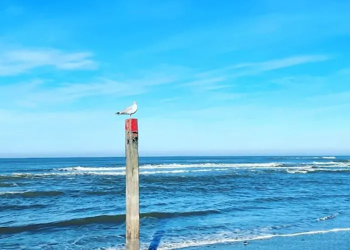 Zeerust Texel Otel De Koog (Texel)