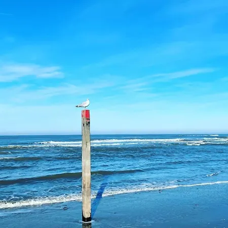 Zeerust Texel Hotel De Koog (Texel)